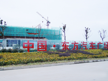 ����鿴���飡