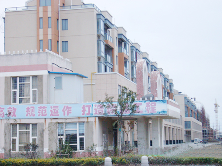 ����鿴���飡