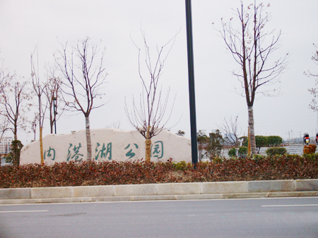 ����鿴���飡